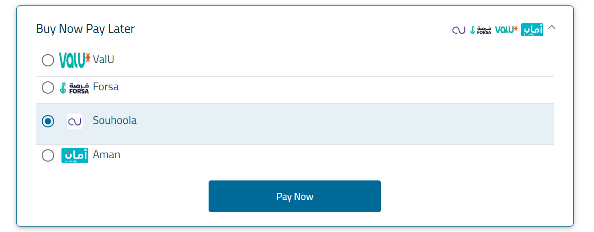 Selecting Souhoola under the Buy Now Pay Later section on the FawryPay checkout